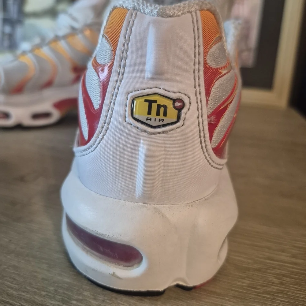 Nike Air Max Plus Sneakers(One shoelace is missing and it needs to be cleaned)